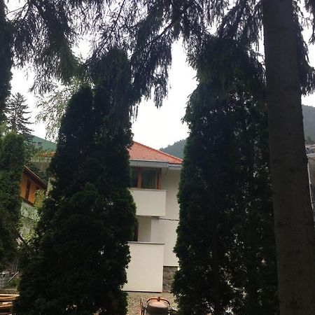 Manyi Villa Бэиле-Тушнад Экстерьер фото