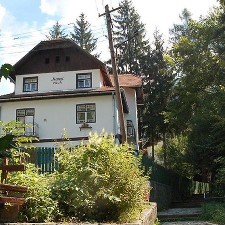 Manyi Villa Бэиле-Тушнад Экстерьер фото
