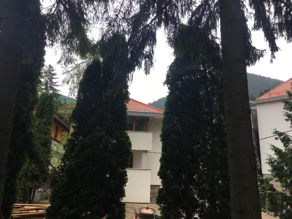 Manyi Villa Бэиле-Тушнад Экстерьер фото
